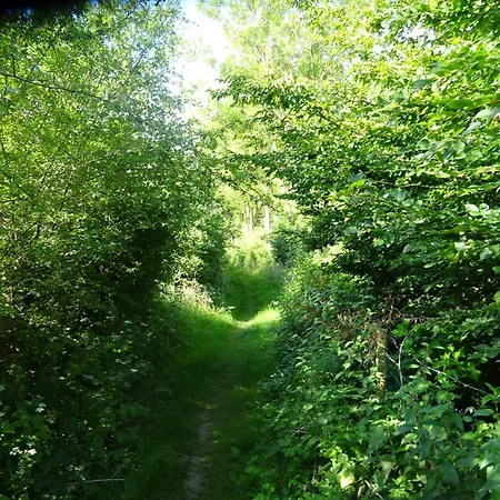 La Source De Nos Racines, De Caractere Beaufort (Nord)