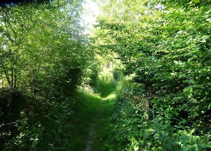 La Source De Nos Racines, De Caractere Beaufort (Nord)
