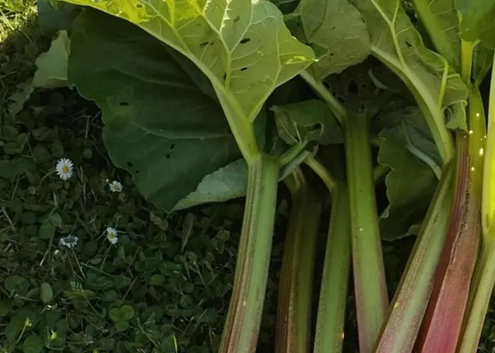 La Source De Nos Racines, De Caractere 3*